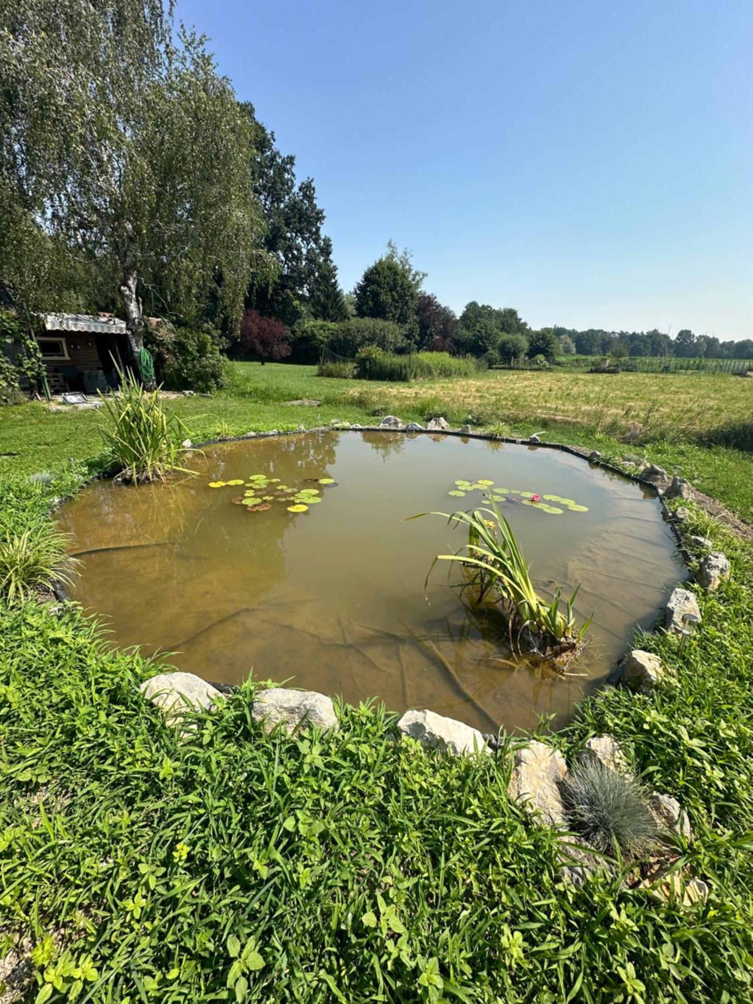Chalet Mocvirski Tulipan Ljubljana